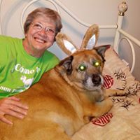 Sandra Lehman Photo 36