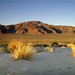 Joshua Sand Photo 20