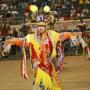 Mark Shepard Photo 28