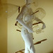 Jan Luce Photo 12