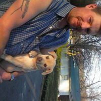 Michael Knopp Photo 14