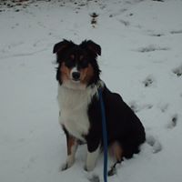 Tom Kinzer Photo 6