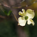 Laura Mackey Photo 6