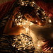 Shelby Brown Photo 17