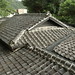 Liang Zhang Photo 15