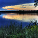 Darrel Mills Photo 20