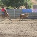 Kristy Boyd Photo 15