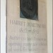 Elizabeth Martineau Photo 14