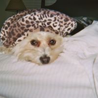 Ann Scholl Photo 17