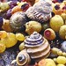 Victoria Shell Photo 10