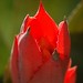Bud Pierce Photo 7