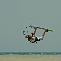 David Maugham Photo 2