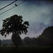 Henry Lee Photo 47