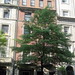 Frances Adams Photo 15