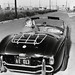 Steve Shelby Photo 13