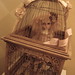 Connie Lowe Photo 24