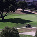 Debra Collins Photo 9