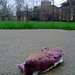 Harold Weathers Photo 6