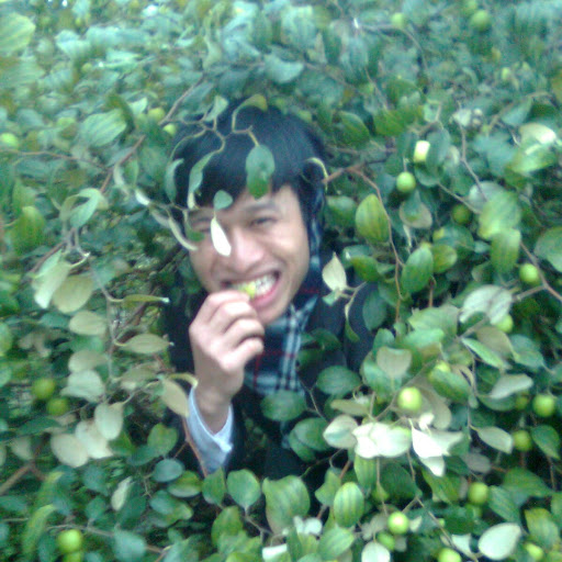 Luan Trinh Photo 10