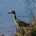 Michelle Heron Photo 15