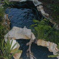 Angela Mattox Photo 6