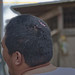 Kevin Vang Photo 19