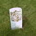 George Gann Photo 5