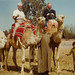 Harold Gordon Photo 9