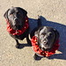 Ruthie Bell Photo 9