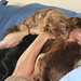 Leland Franks Photo 7