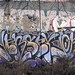 Joe Wall Photo 14