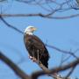 Edward Himes Photo 19