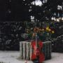 Nancy Buchanan Photo 15