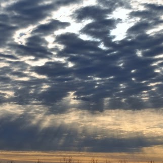Jackie Steffen Photo 1