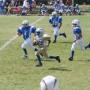 Melvin Daniel Photo 20