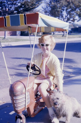 Linda Farley Photo 10