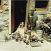 Debra Potter Photo 14