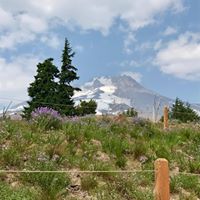 Julie Thelen Photo 27