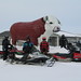 Bruce Winters Photo 43