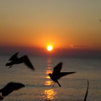 Barbara Burdette Photo 23