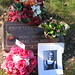 Phillip Atkinson Photo 14