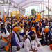 Dee Singh Photo 10