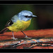 Barbara Robins Photo 31