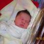 Vickie Williamson Photo 19