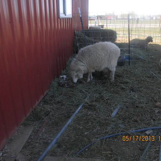 Janet Anderson Photo 41