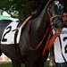 Tracy Miner Photo 16