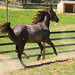 Virginia Motes Photo 4