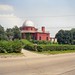 Doyle Brown Photo 24
