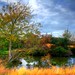Geraldine Garrison Photo 10