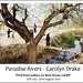 Carolyn Drake Photo 5